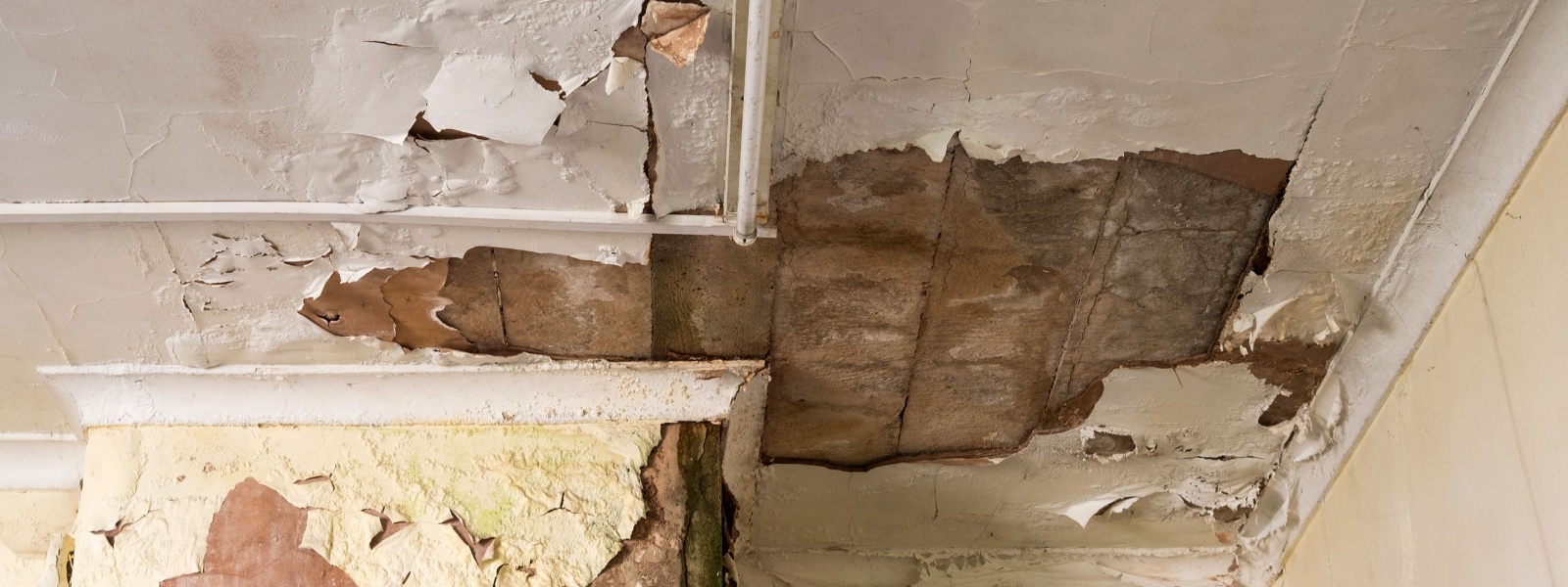 Wood Dale IL 1 Wood Dale IL